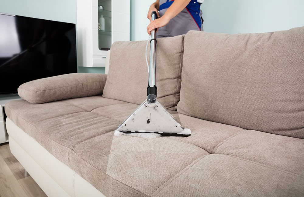 как почистить диван или ковер в домашних условиях
